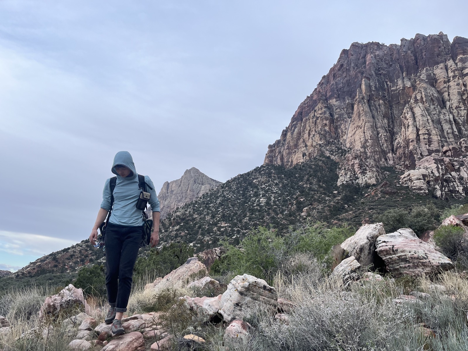 Looking out from the mouth of Juniper Canyon toward the desert
