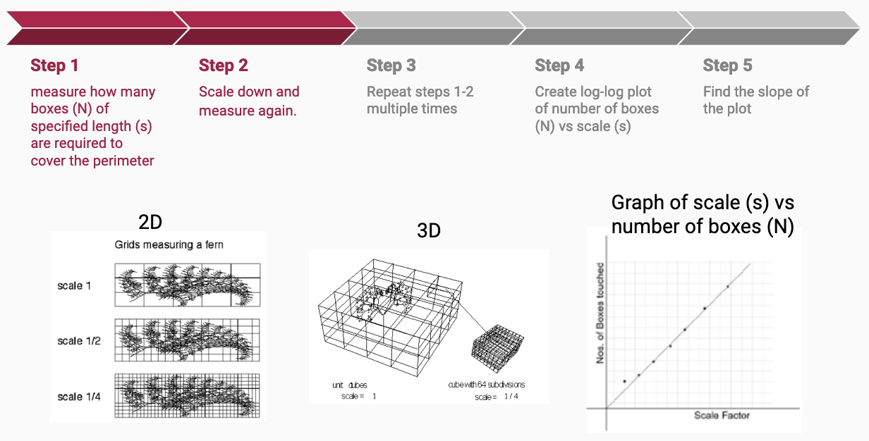 A five-step diagram of the cube-counting process with 2D and 3D examples and a log-log plot